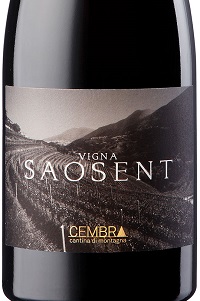 Cembra Cantina di Montagna Trentino Pinot Nero Vigna Saosent 2016