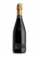 Motus-Vitae-Rive-di-San-Pietro-di-Barbozza-Brut-2013.jpg