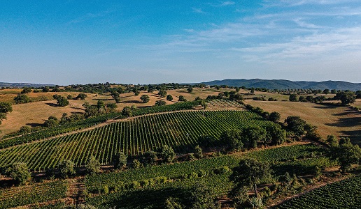 Maremma Toscana