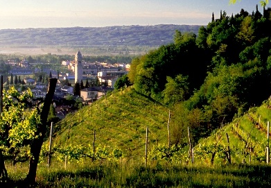 Se il Prosecco è il Superiore