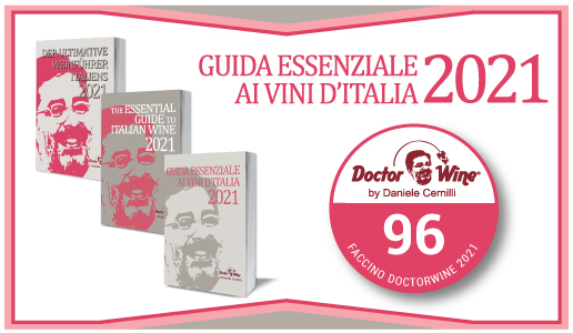 Faccino DoctorWine 2021 - 96/100