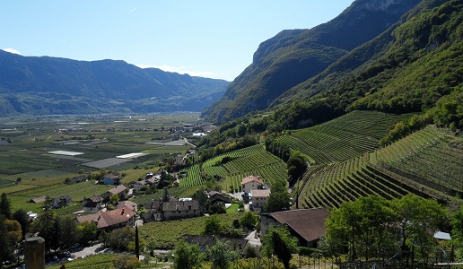 Vigneti di montagna Tiefenbrunner