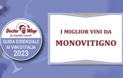 Monovitigno GDW 2023