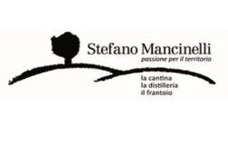 Stefano Mancinelli logo