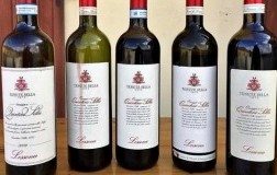 tenute sella cantina vini piemonte lessona verticale omaggio a quintino sella 