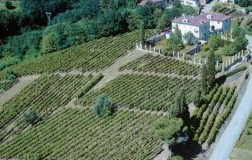 tenute sella cantina vini piemonte panorama vigneti lessona