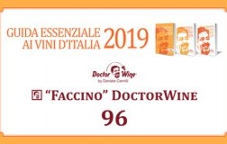 Faccino 96/100 DoctorWine 2019