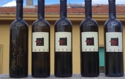 Skerk, Malvasia in bucce (2): la degustazione