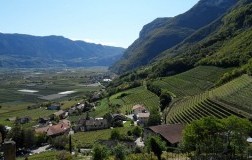 Vigneti di montagna Tiefenbrunner